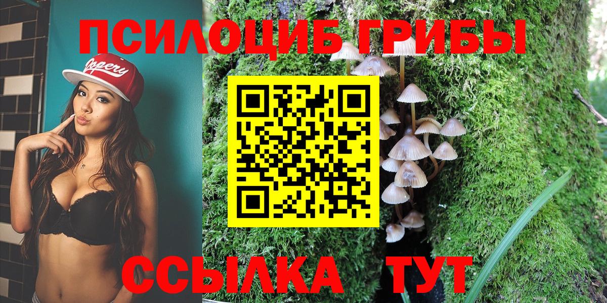 Карасук  Псилоцибиновые грибы мухоморы  Вход с VPN 